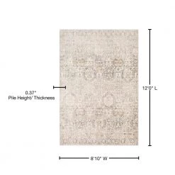 Arlene Beige 9 ft. x 12 ft. Indoor Area Rug by Artistic Weavers 13 Arlene Beige 9 ft. x 12 ft. Indoor Area Rug by Artistic Weavers -Artistic Weavers || Couristan Sales Store beige artistic weavers area rugs s00161040628 76 1000