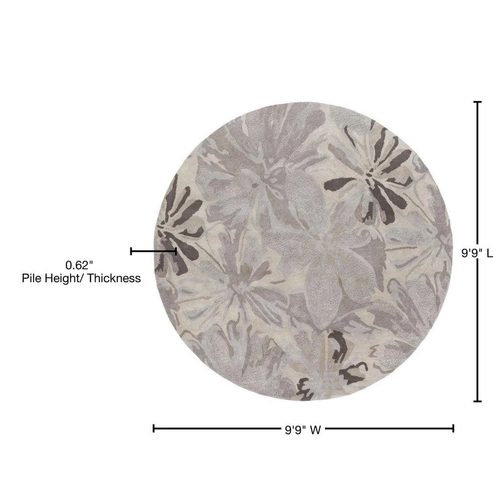 Amaranthus Gray 10 ft. x 10 ft. Round Indoor Area Rug by Artistic Weavers 5 Amaranthus Gray 10 ft. x 10 ft. Round Indoor Area Rug by Artistic Weavers - Image 5