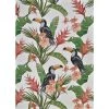 Dolce Toucans Ivory 4 ft. x 6 ft. Indoor/Outdoor Area Rug by Couristan