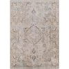Janie Medium Grey 8 ft. x 10 ft. Traditional Indoor Machine-Washable Area Rug by Artistic Weavers