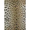 Dolce Amur Leopard New Gold 8 ft. x 11 ft. Indoor/Outdoor Area Rug by Couristan